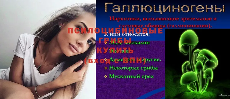 Галлюциногенные грибы мицелий  Бологое 